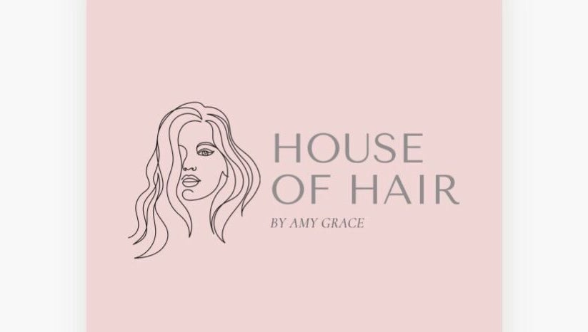 House of Hair by Amy Grace изображение 1