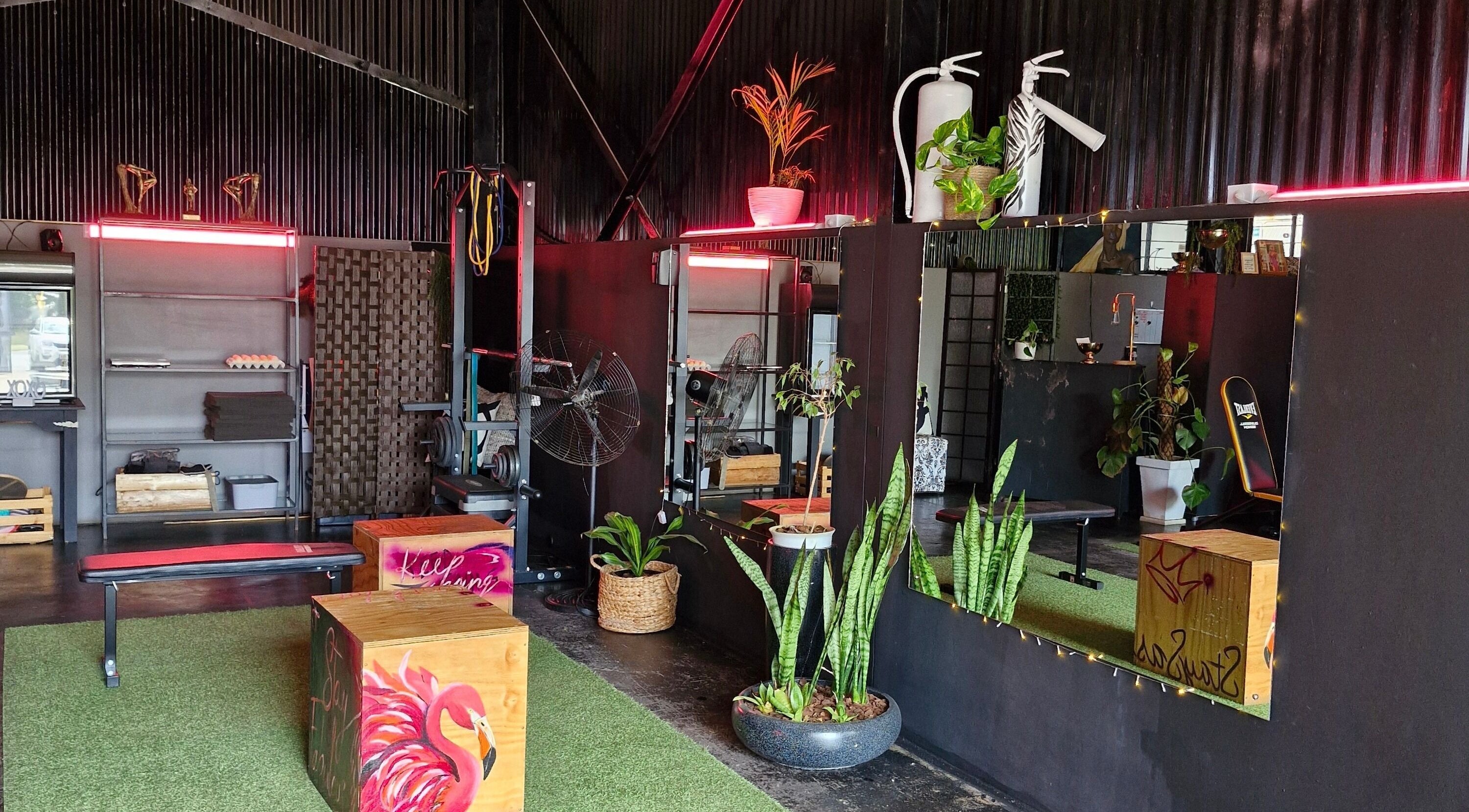 Chic gym space at Vita Amici in Vanderbijlpark, Gauteng, ZA, with vibrant decor and plants.