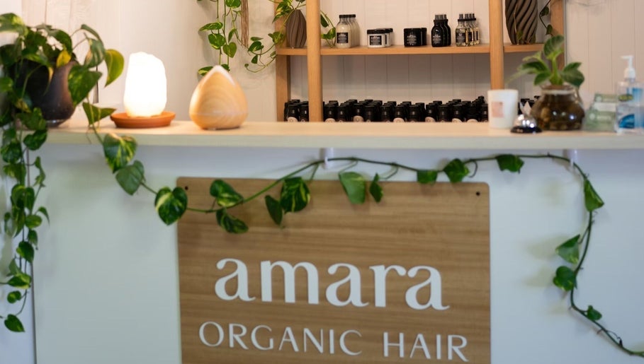 Reception at Amara Organic Hair, Burleigh Heads with lush plants and organic products displayed.