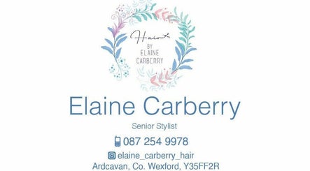 Hair by Elaine Carberry