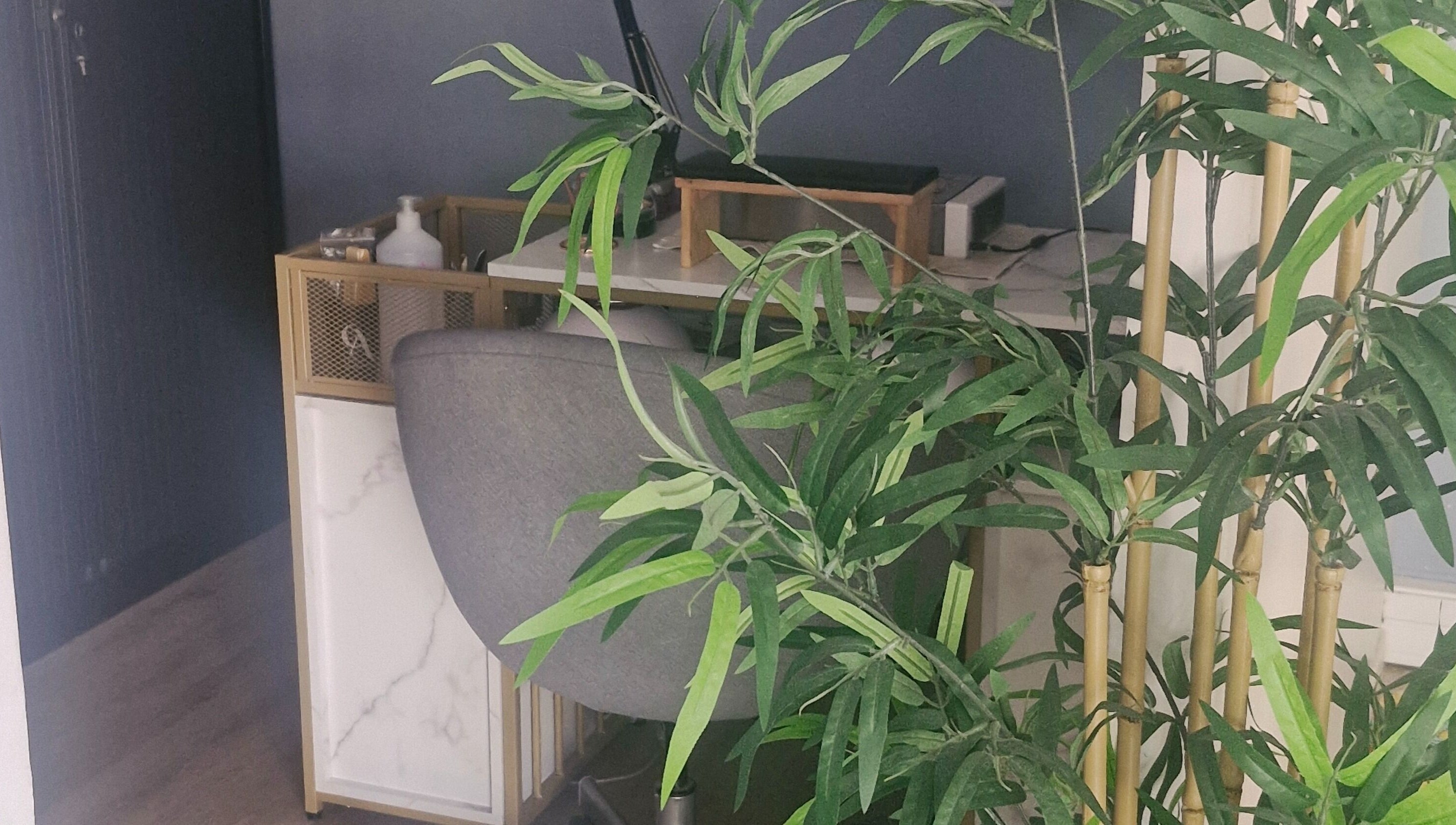 Espace de travail paisible chez Glow Up by Cfl à Orléans, Centre-val De Loire, FR, avec plantes vertes.