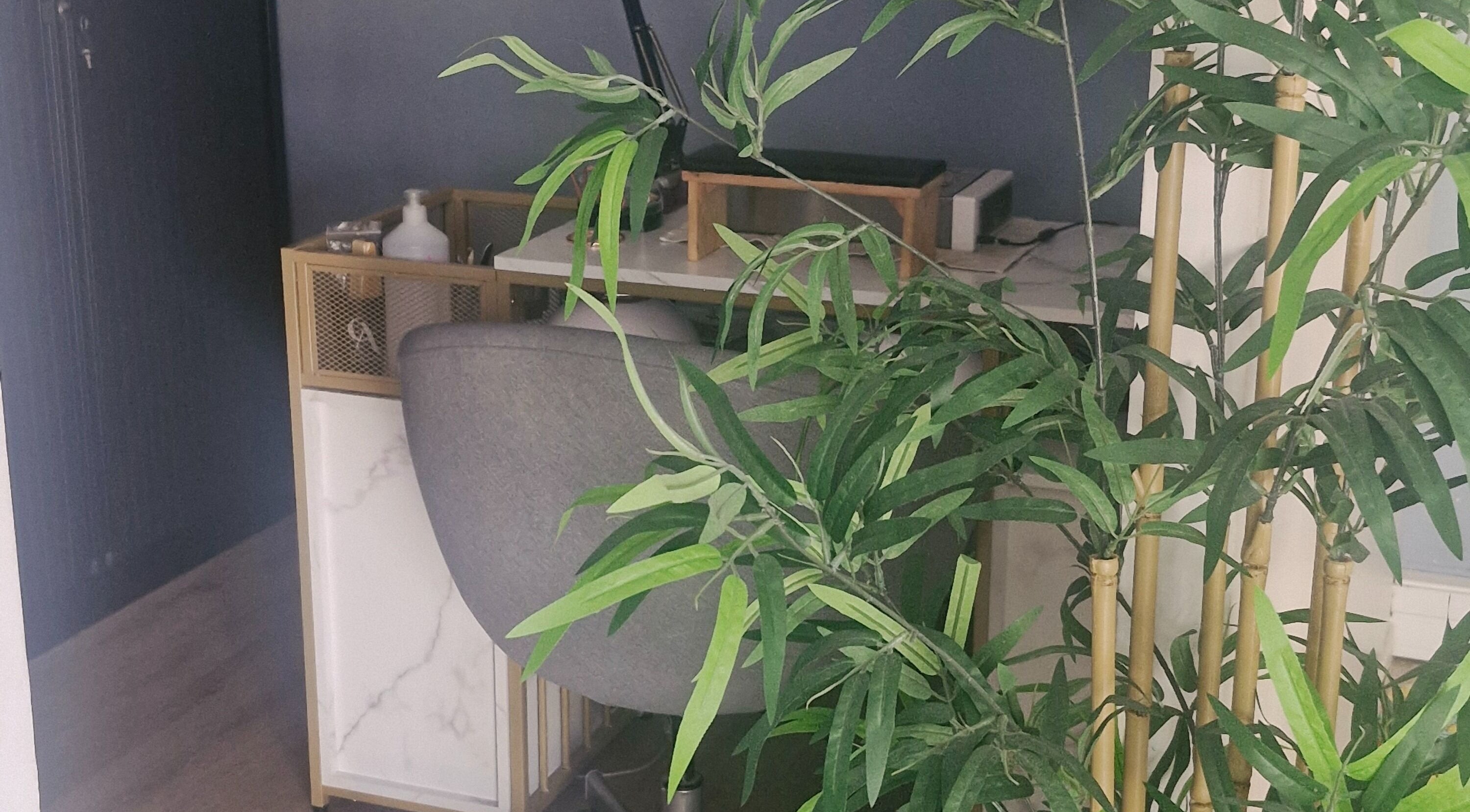 Espace de travail paisible chez Glow Up by Cfl à Orléans, Centre-val De Loire, FR, avec plantes vertes.