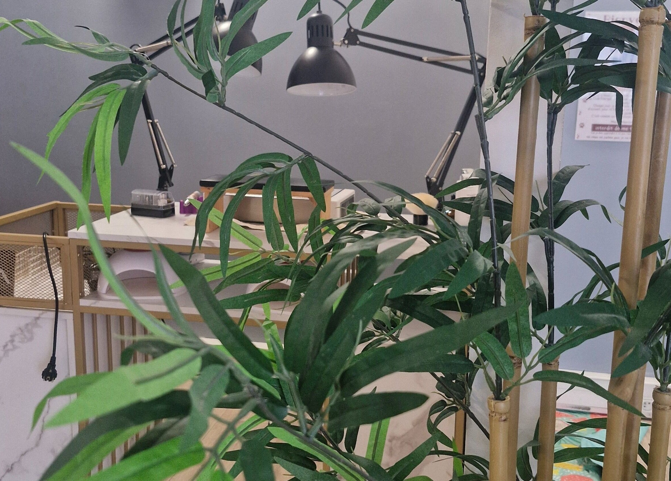 Coin détente végétalisé chez Glow up by Cfl, Orléans, Centre-val De Loire, FR avec décoration naturelle.