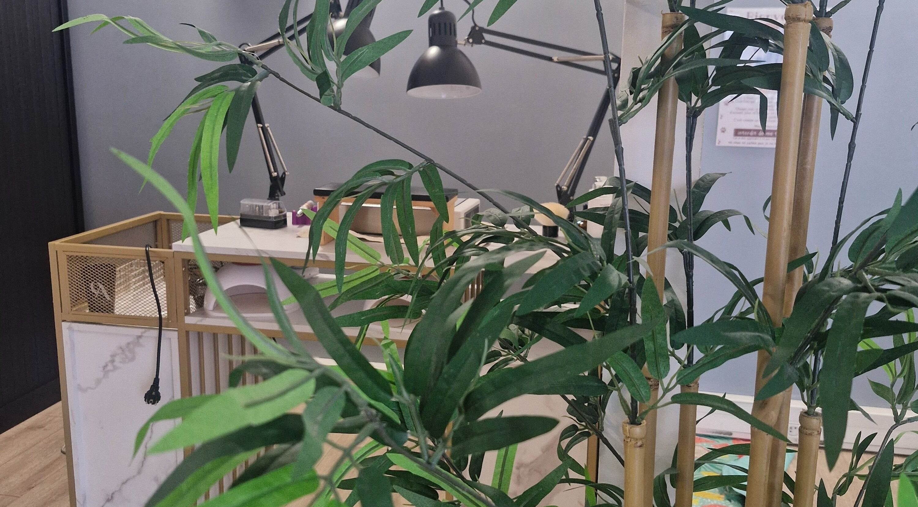 Coin détente végétalisé chez Glow up by Cfl, Orléans, Centre-val De Loire, FR avec décoration naturelle.