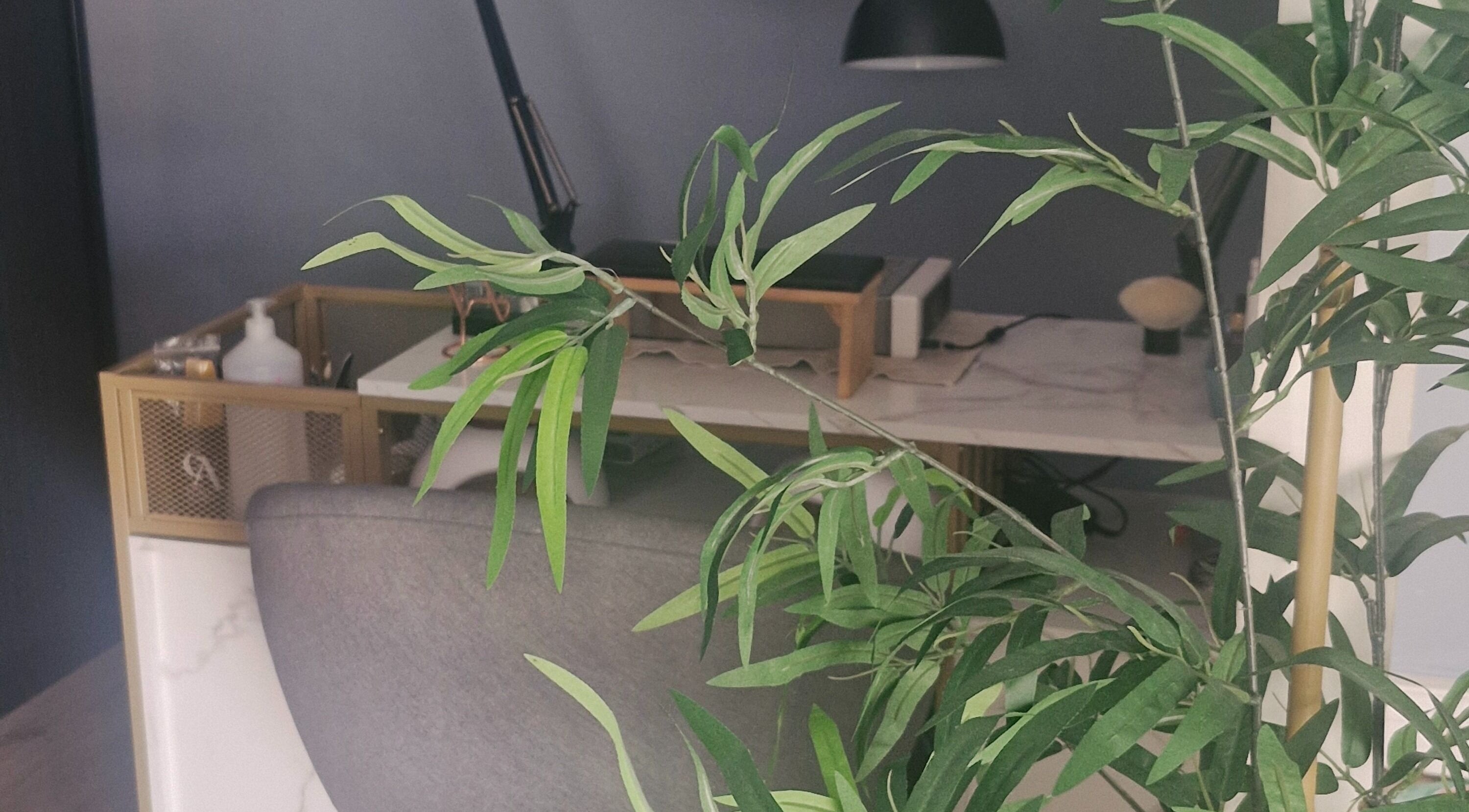 Espace de bien-être moderne chez Glow up by Cfl, Orléans, Centre-val De Loire, FR, avec plantes apaisantes.