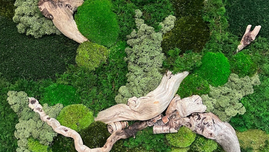 Lush green moss and driftwood display at Somerset House Day Spa & Skin Clinic, Powell River, British Columbia, CA.
