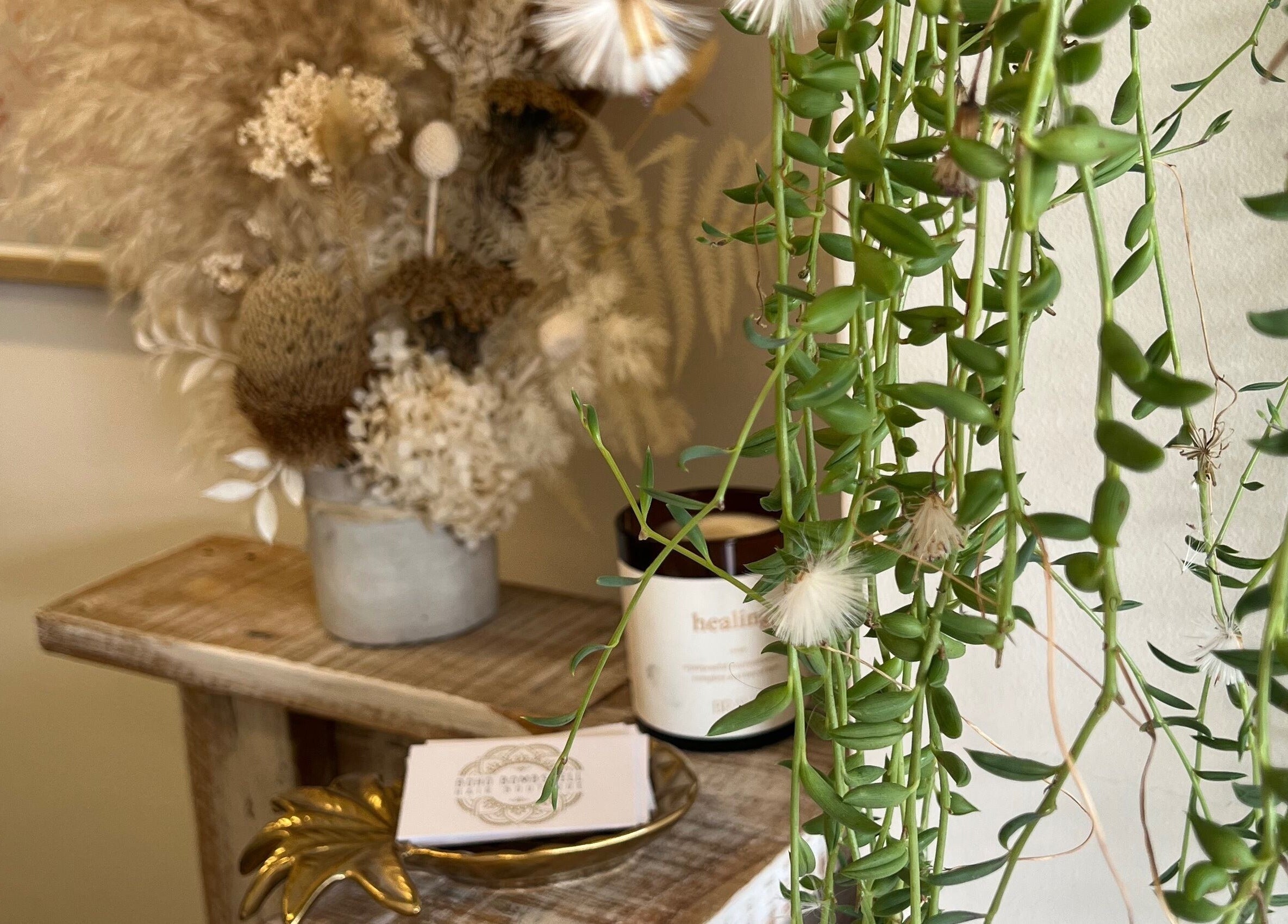 Relaxing Boho Bombshell decor with lush greenery in White Gum Valley, Western Australia, AU.
