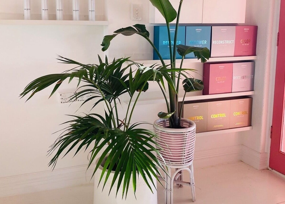 Lush plants and colorful products in Studio Black Innaloo, Western Australia, AU creating a serene ambiance.