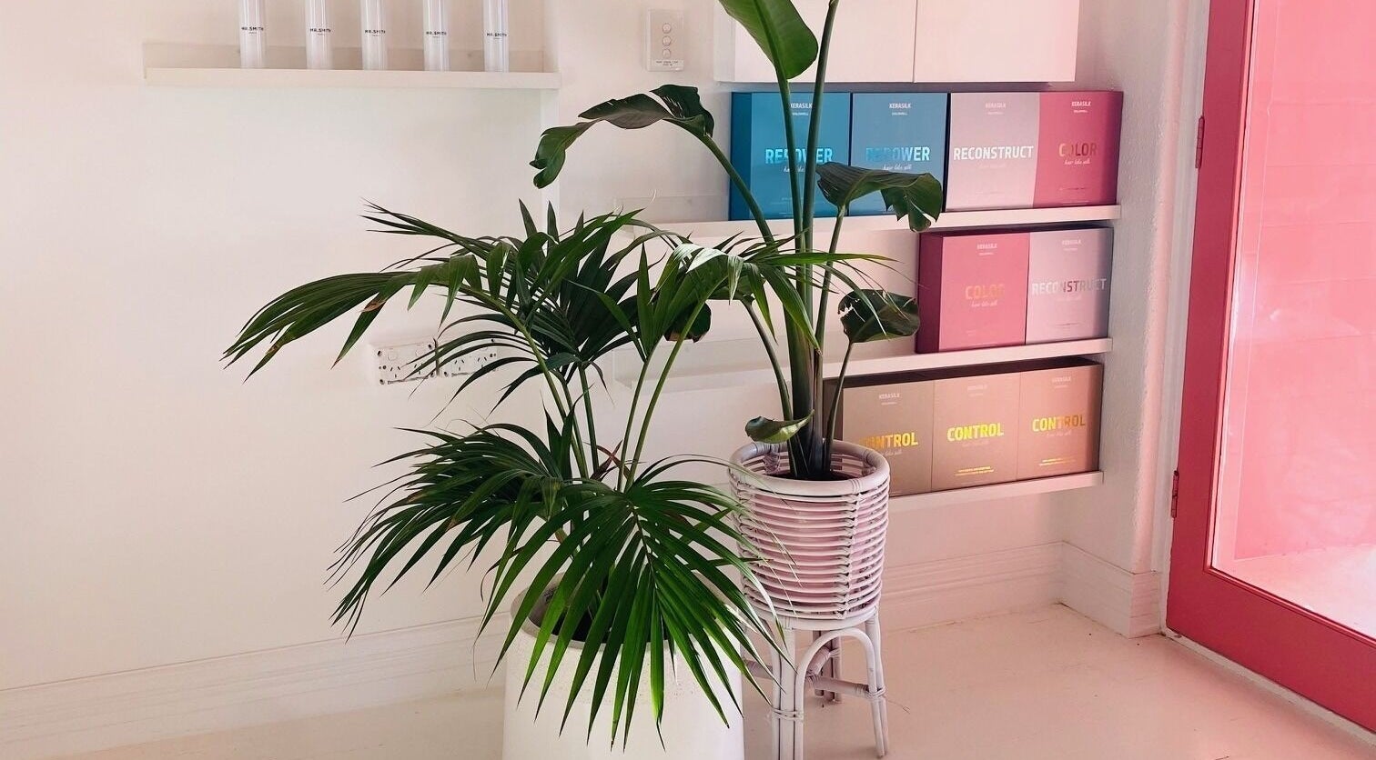 Lush plants and colorful products in Studio Black Innaloo, Western Australia, AU creating a serene ambiance.