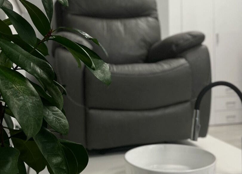 Comfortable chair and plant at Nail Studio By Viktoria Yakovets, Bratislava, Bratislavský kraj, SK.