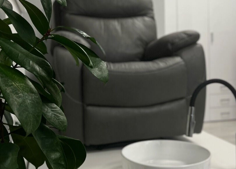 Comfortable chair and plant at Nail Studio By Viktoria Yakovets, Bratislava, Bratislavský kraj, SK.