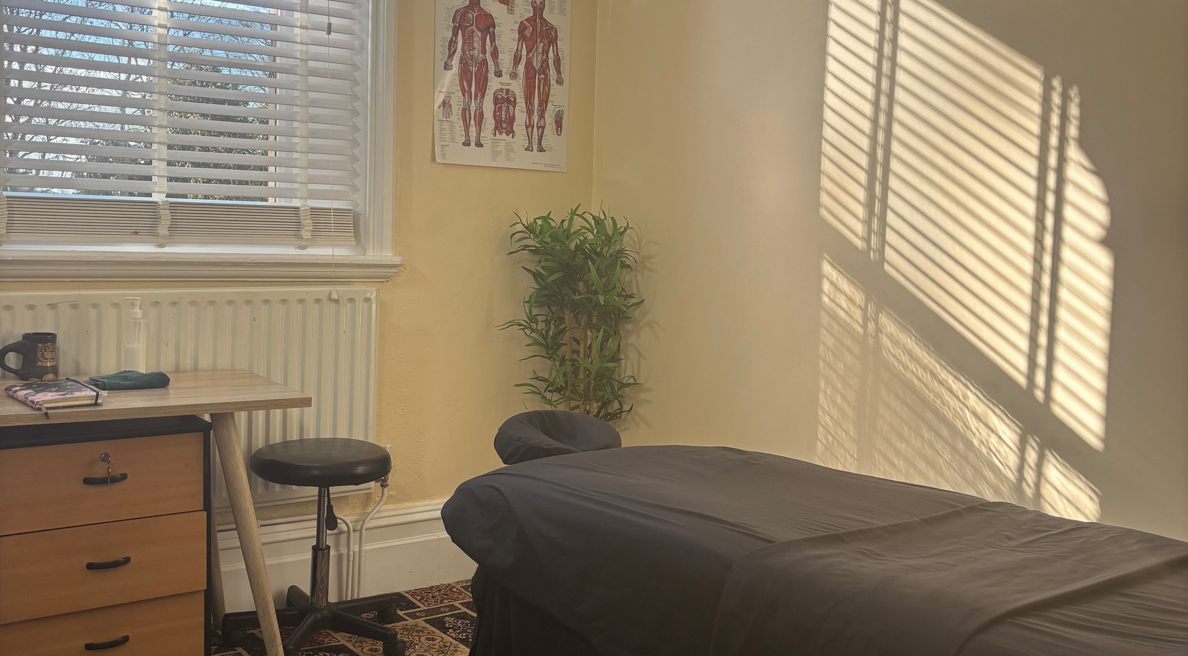 Calm massage room at CJ Soft Tissue & Massage Therapy, Wellington, England, GB with natural light and decor.