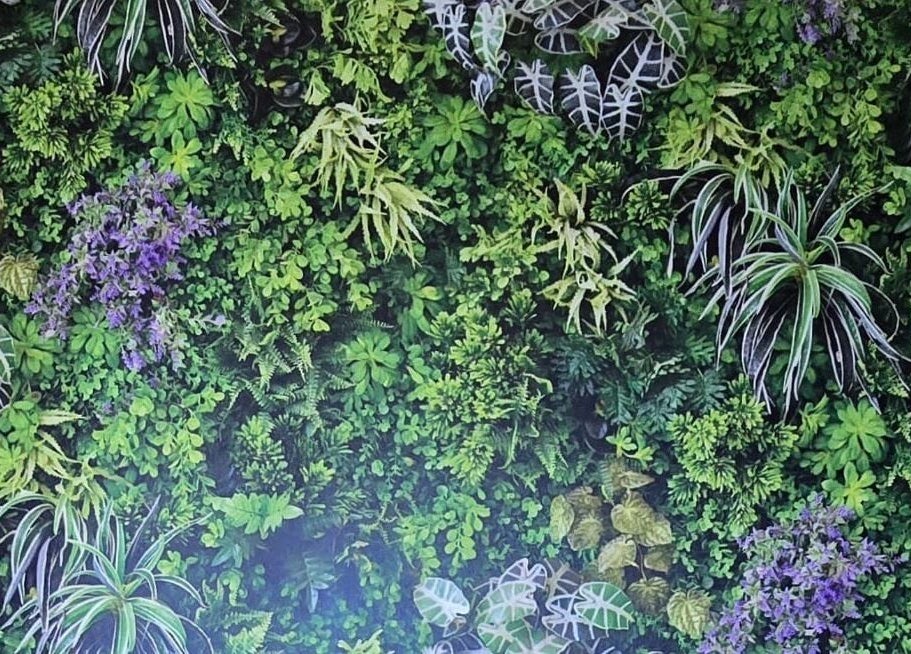 Lush green wall at Fern Bodyworks, Hextable, England, GB, showcasing vibrant foliage and tranquility.