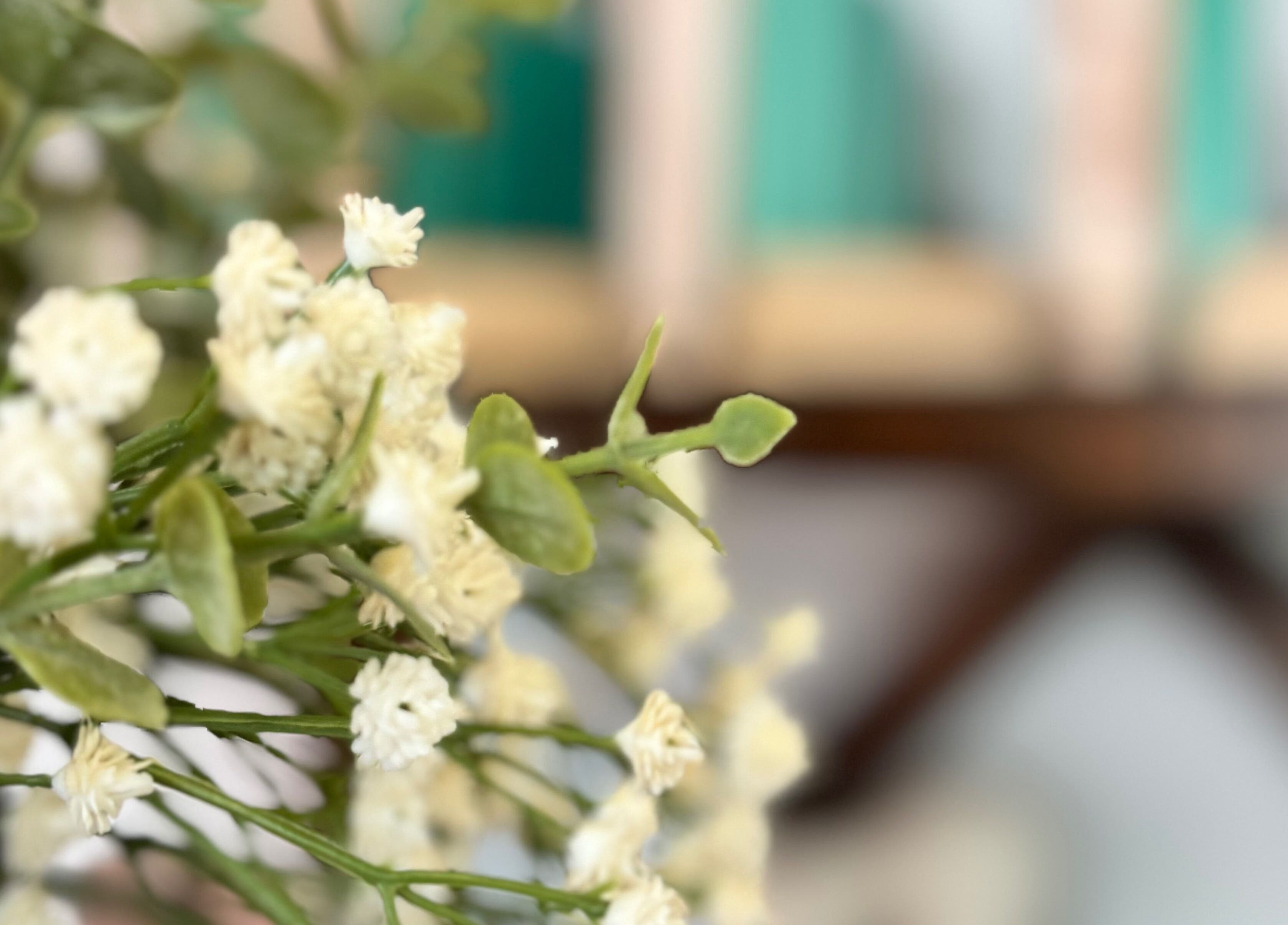 Elegant floral decor at The Age Well Room, Maroochydore, Queensland, AU, enhancing a tranquil ambiance.