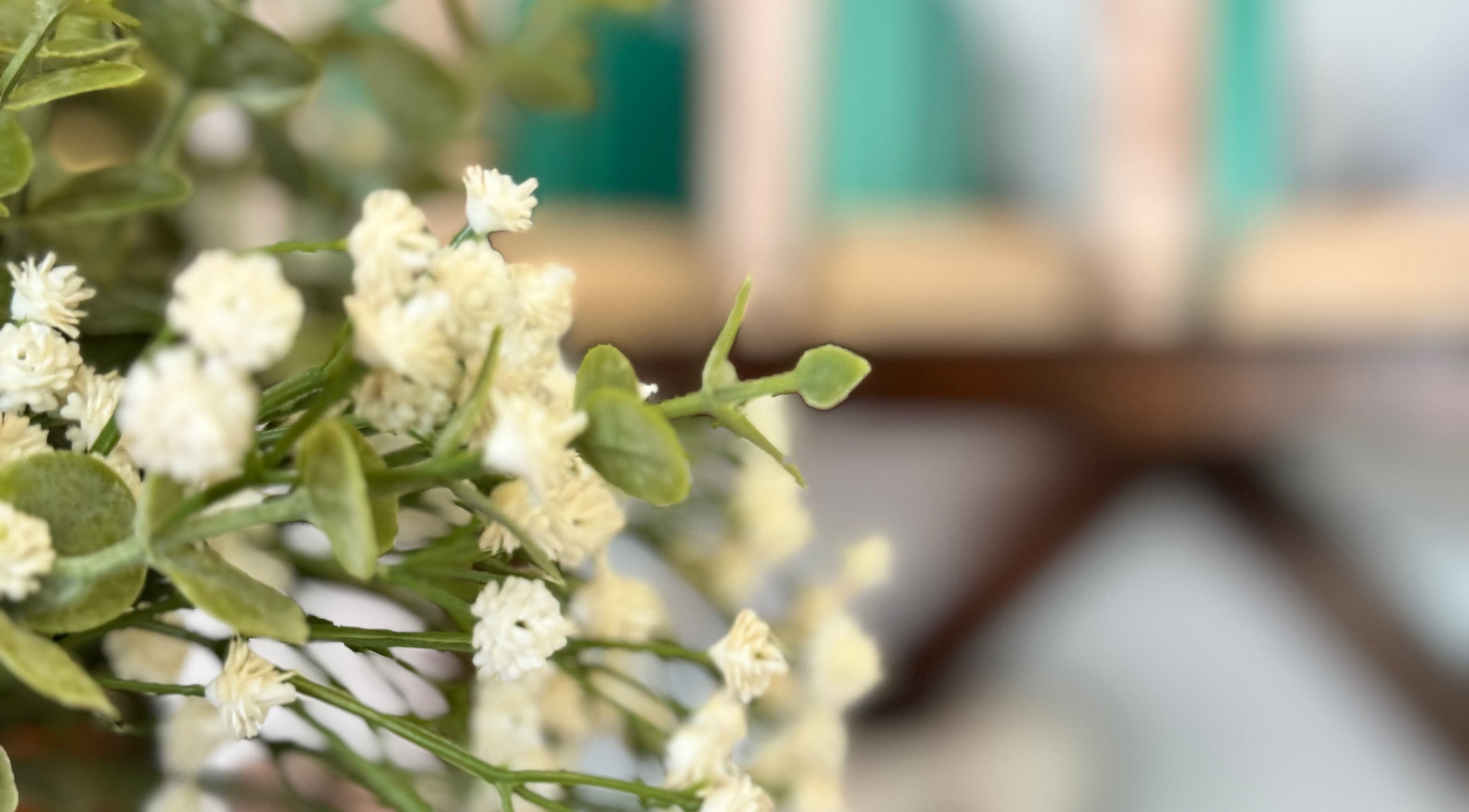 Elegant floral decor at The Age Well Room, Maroochydore, Queensland, AU, enhancing a tranquil ambiance.
