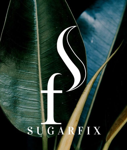 Sugarfix, bild 2