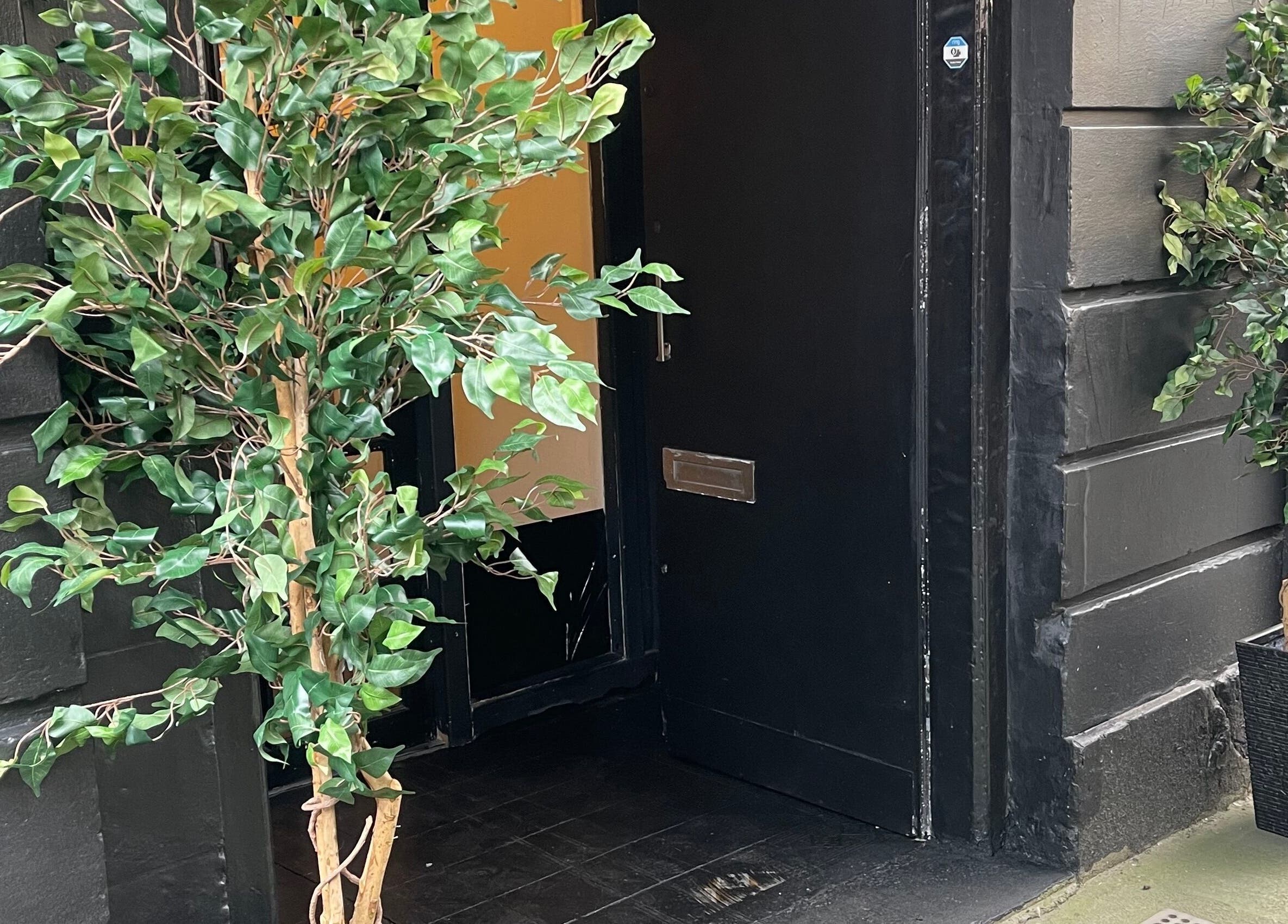Entrance of The Collective Hair Co in Glasgow, Scotland, GB, with lush plants and modern decor.
