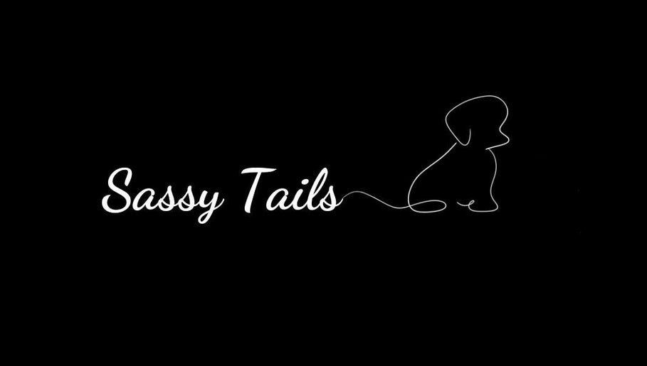 Sassy Tails image 1