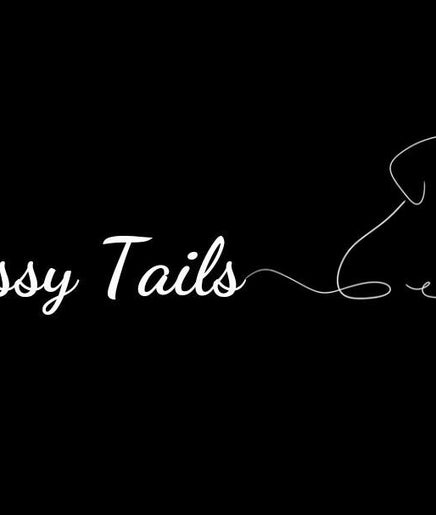 Sassy Tails image 2