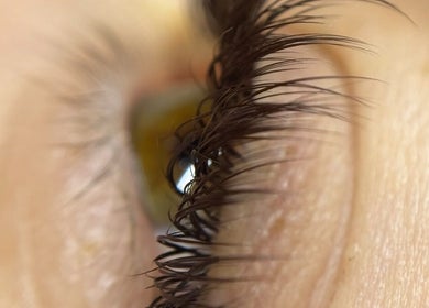 Close-up of styled eyelashes at Studio Manetane & Auravive Wellness, Varsity Lakes, Queensland, AU.