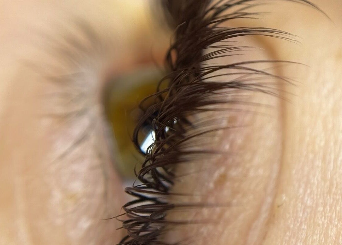 Close-up of styled eyelashes at Studio Manetane & Auravive Wellness, Varsity Lakes, Queensland, AU.