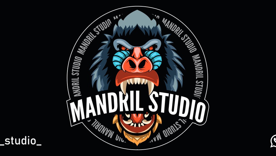 Mandril Studio 1paveikslėlis