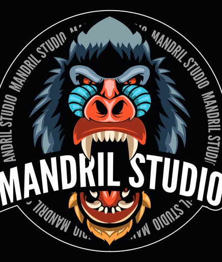 Mandril Studio 2paveikslėlis