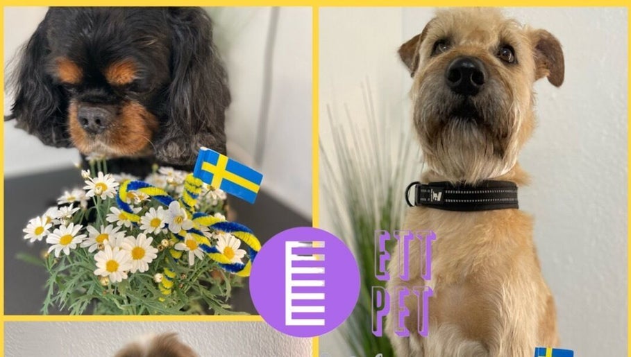 Ett Pet Spa and Salong image 1