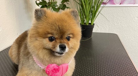 Ett Pet Spa and Salong image 2