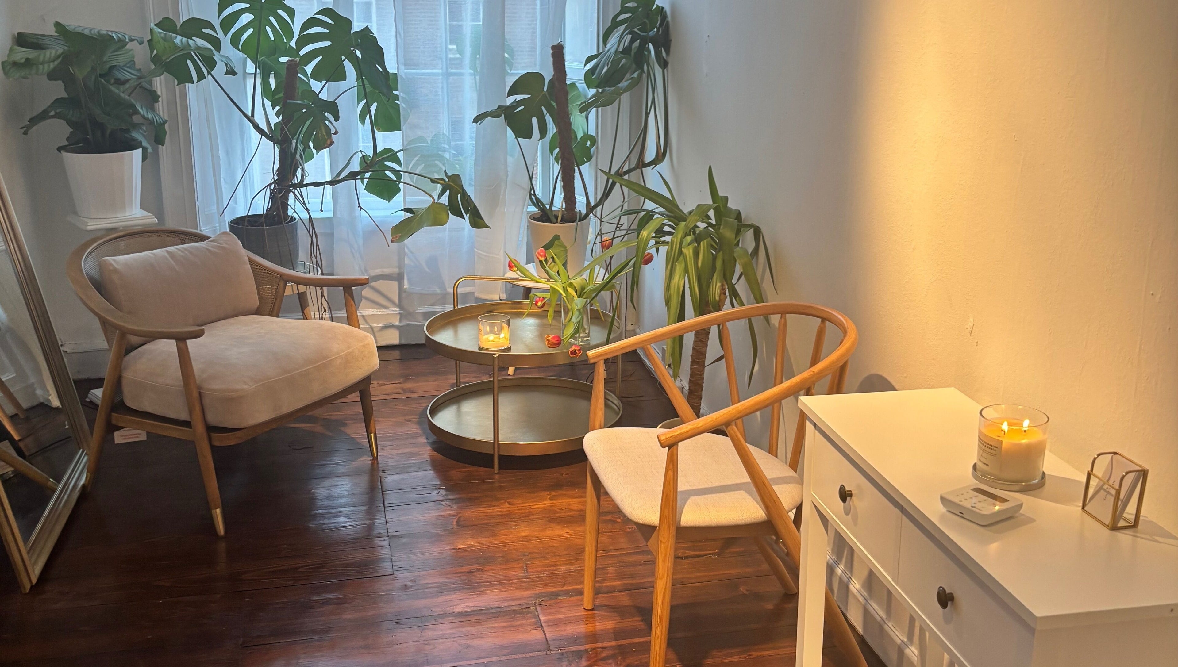 Elegant seating area with plants at Logan Joy ~ Holistic Skin, Limerick, County Limerick, IE.
