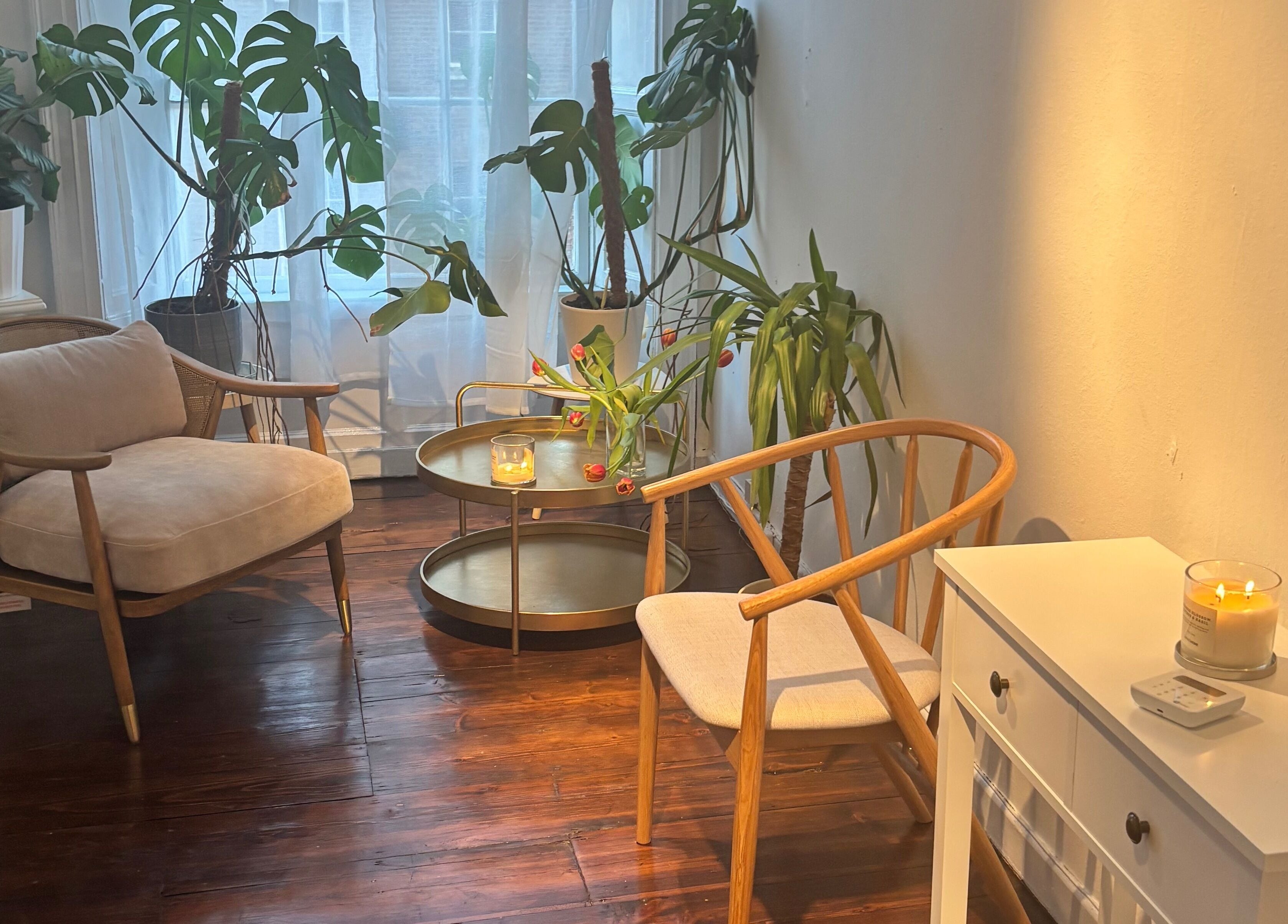 Elegant seating area with plants at Logan Joy ~ Holistic Skin, Limerick, County Limerick, IE.