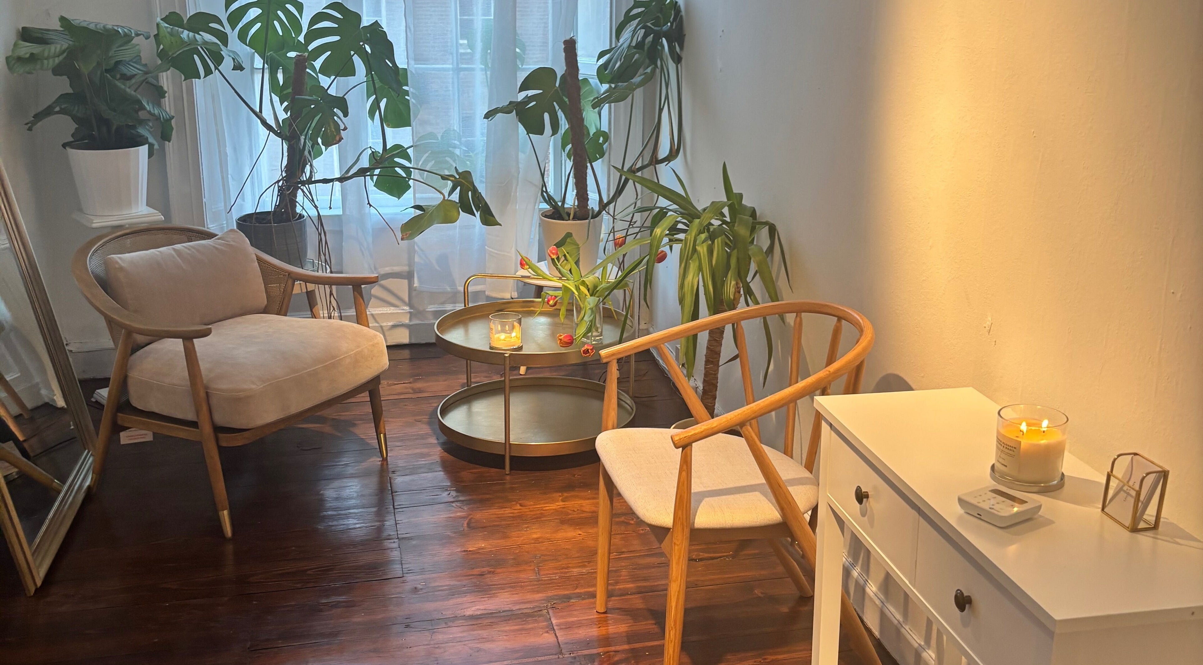 Elegant seating area with plants at Logan Joy ~ Holistic Skin, Limerick, County Limerick, IE.