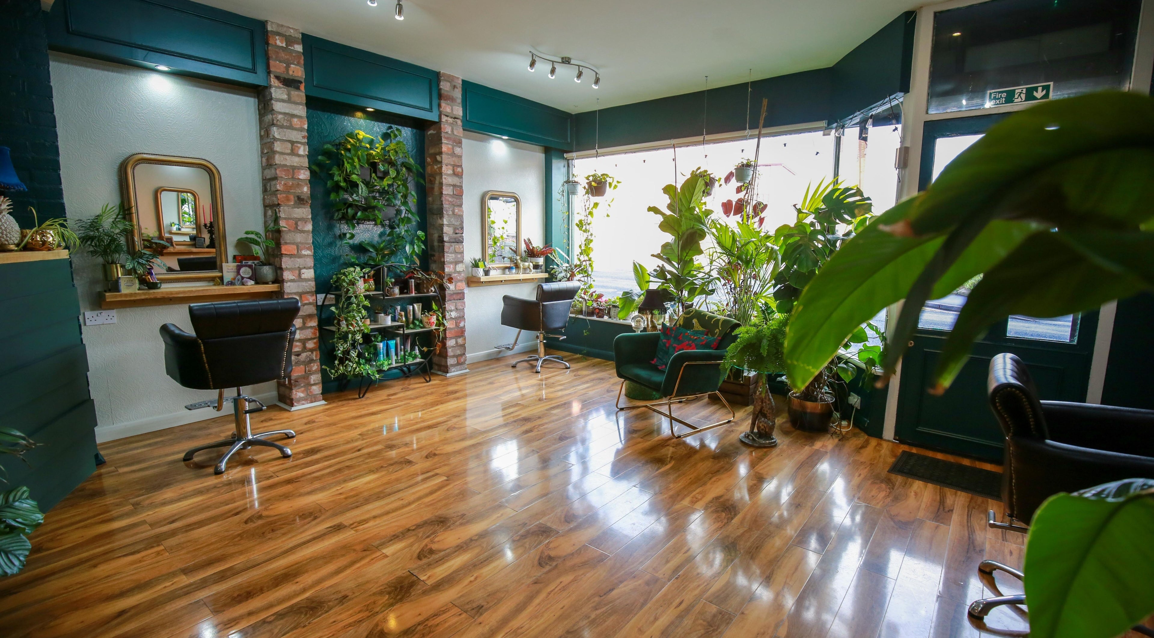 Inviting interior of The Ivy Hair Club Inc Beauty & Wellness in Mold, Wales, GB with vibrant greenery.