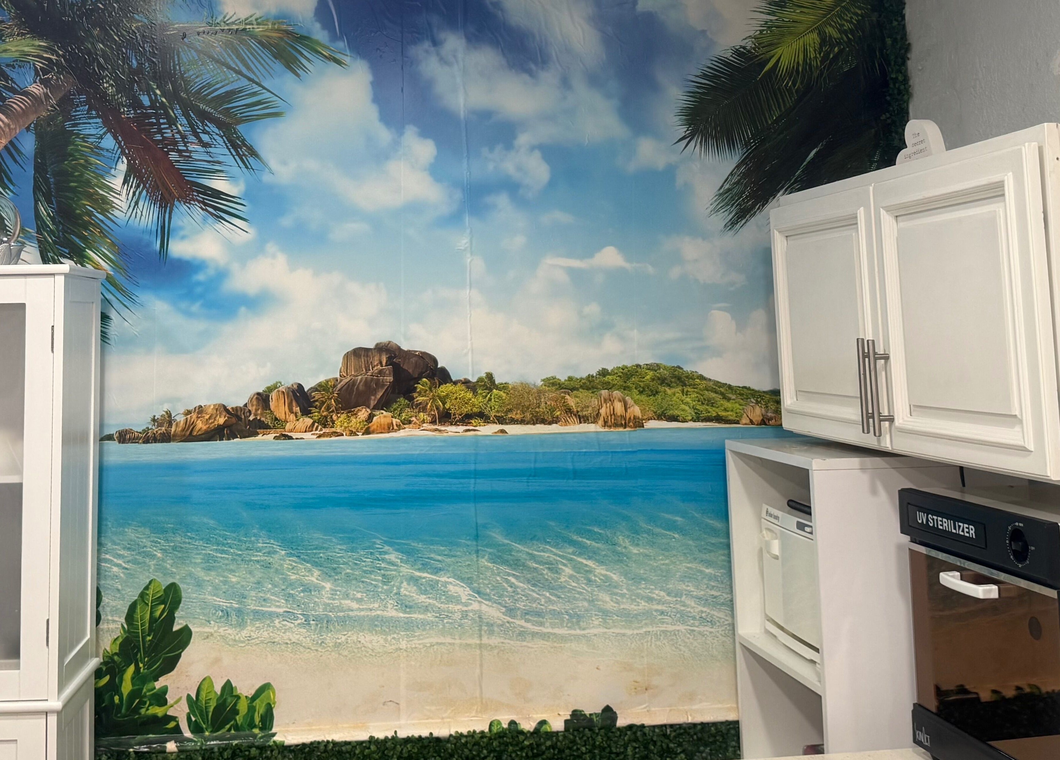 Inalvis Oasis Spa in Fort Myers, Florida; tropical beach scene with palm trees and ocean mural.