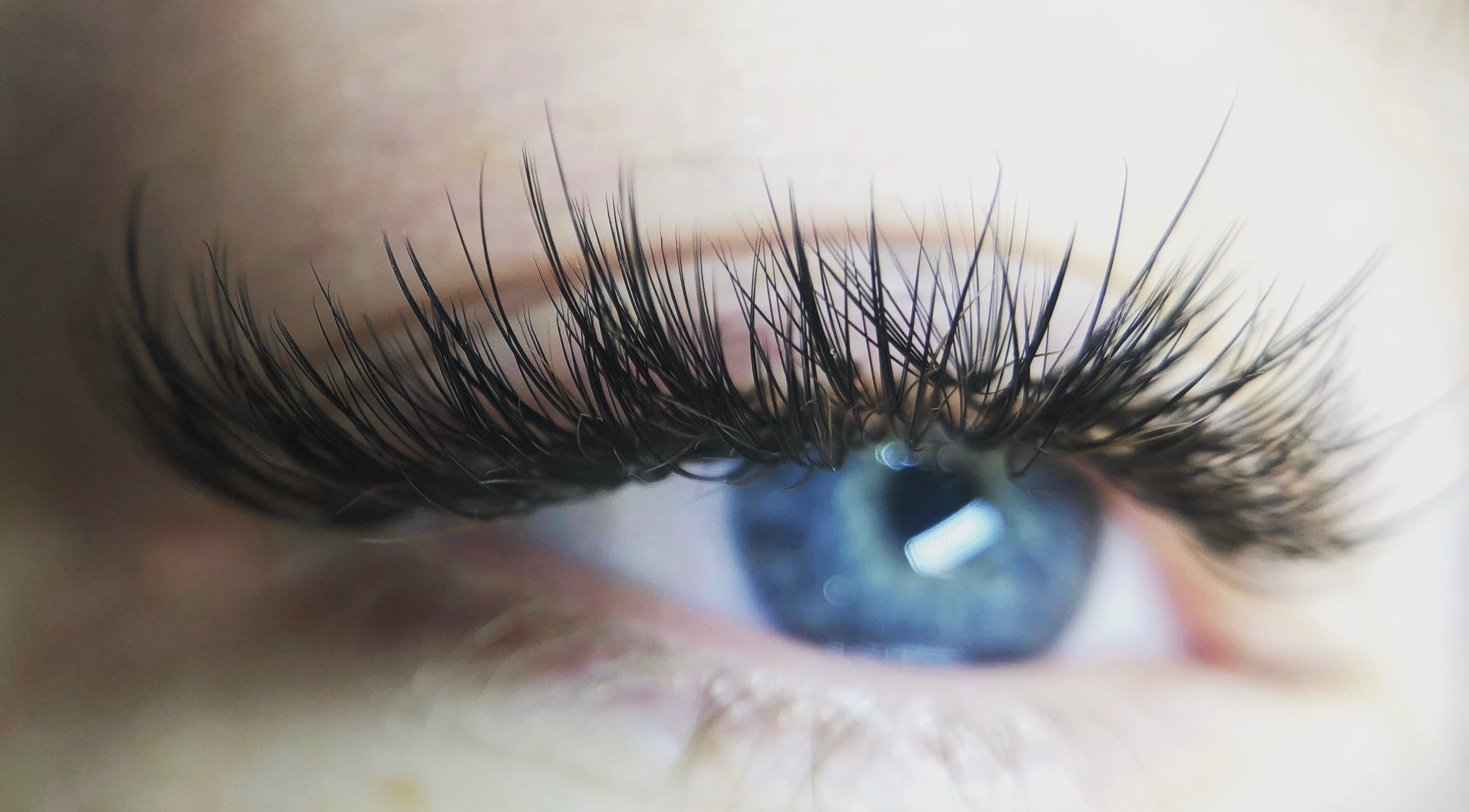 Close-up of lush eyelashes at Lash Library in Huntsville, Alabama, US, showcasing stunning lash extensions.