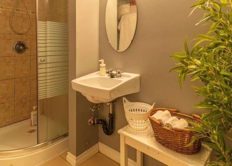 Elegant bathroom corner at Comfy Spa, Vancouver, British Columbia, CA with shower, sink, and plant.