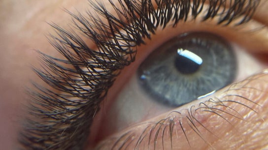 Lash Up