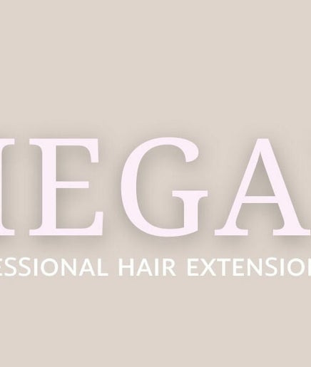 Megan Jack Hair Extensions Bild 2