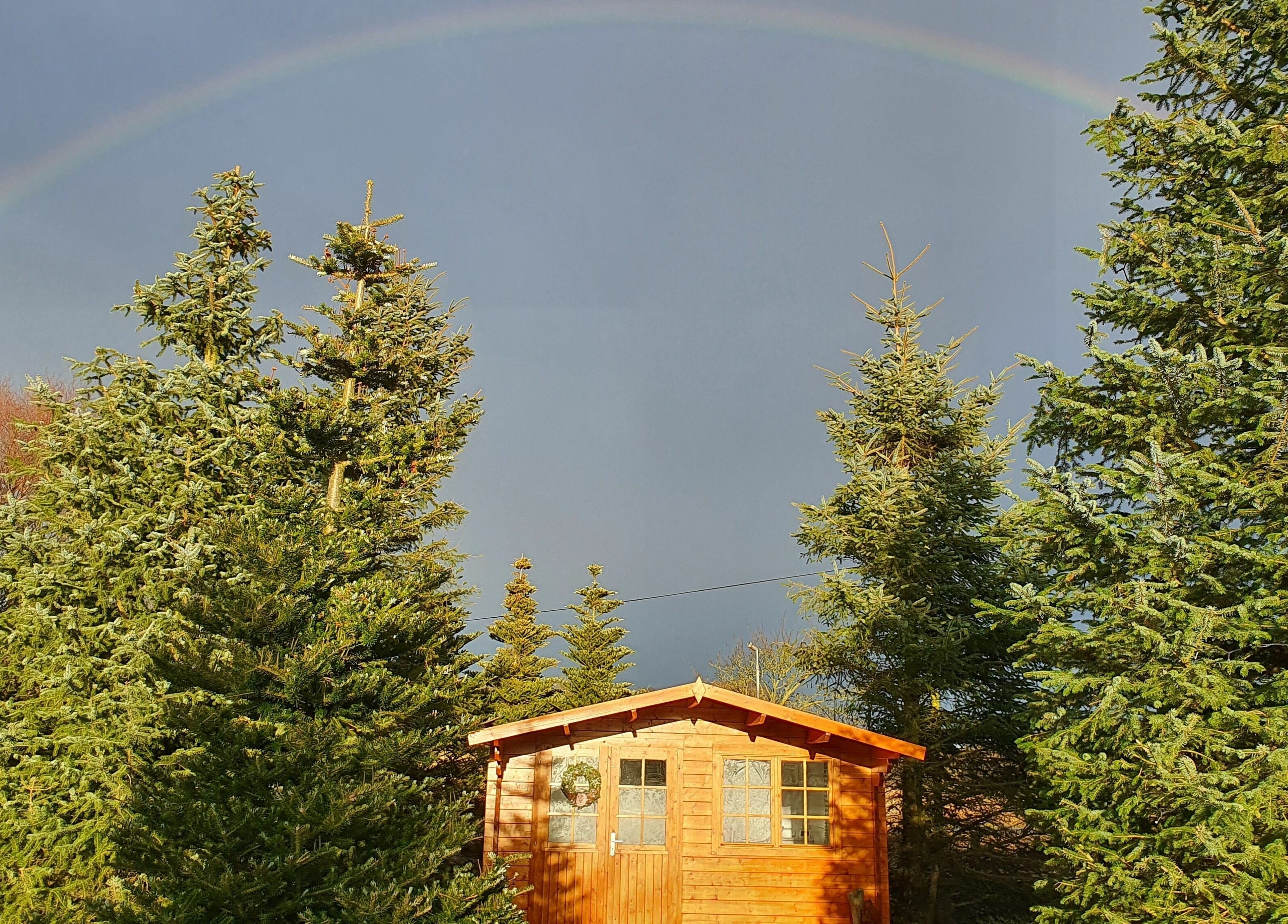 Charming wooden cabin at Beautopia, BANFF, GB, surrounded by lush trees under a vibrant rainbow.