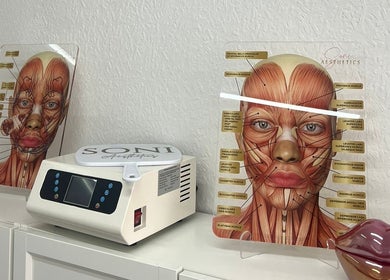 Detailed anatomical face charts at Soni_aesthetics, Huddersfield, England, GB.