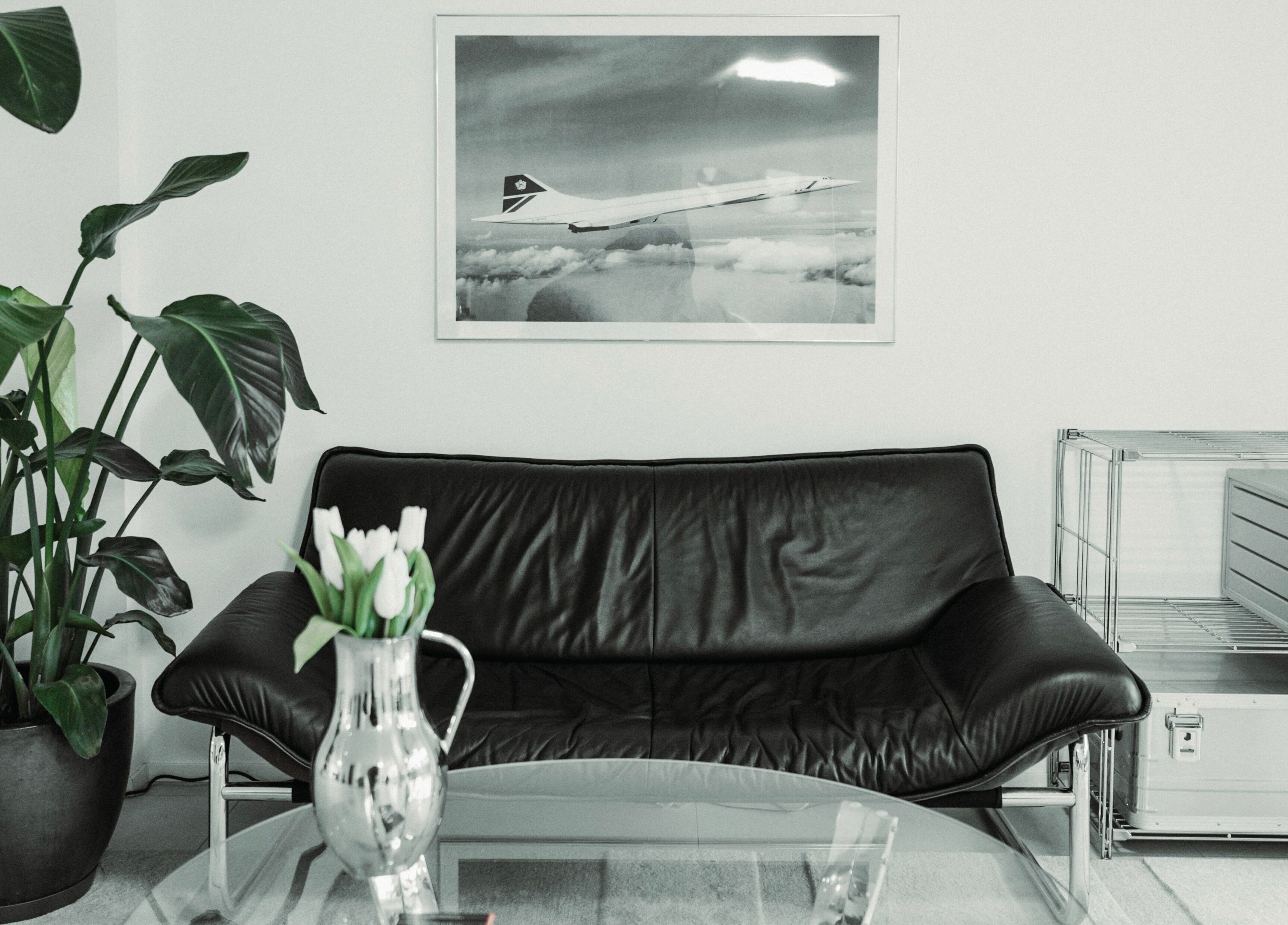 Elegant waiting area at CONCORDE, Zürich, Zürich, CH, featuring a black leather couch and green plants.