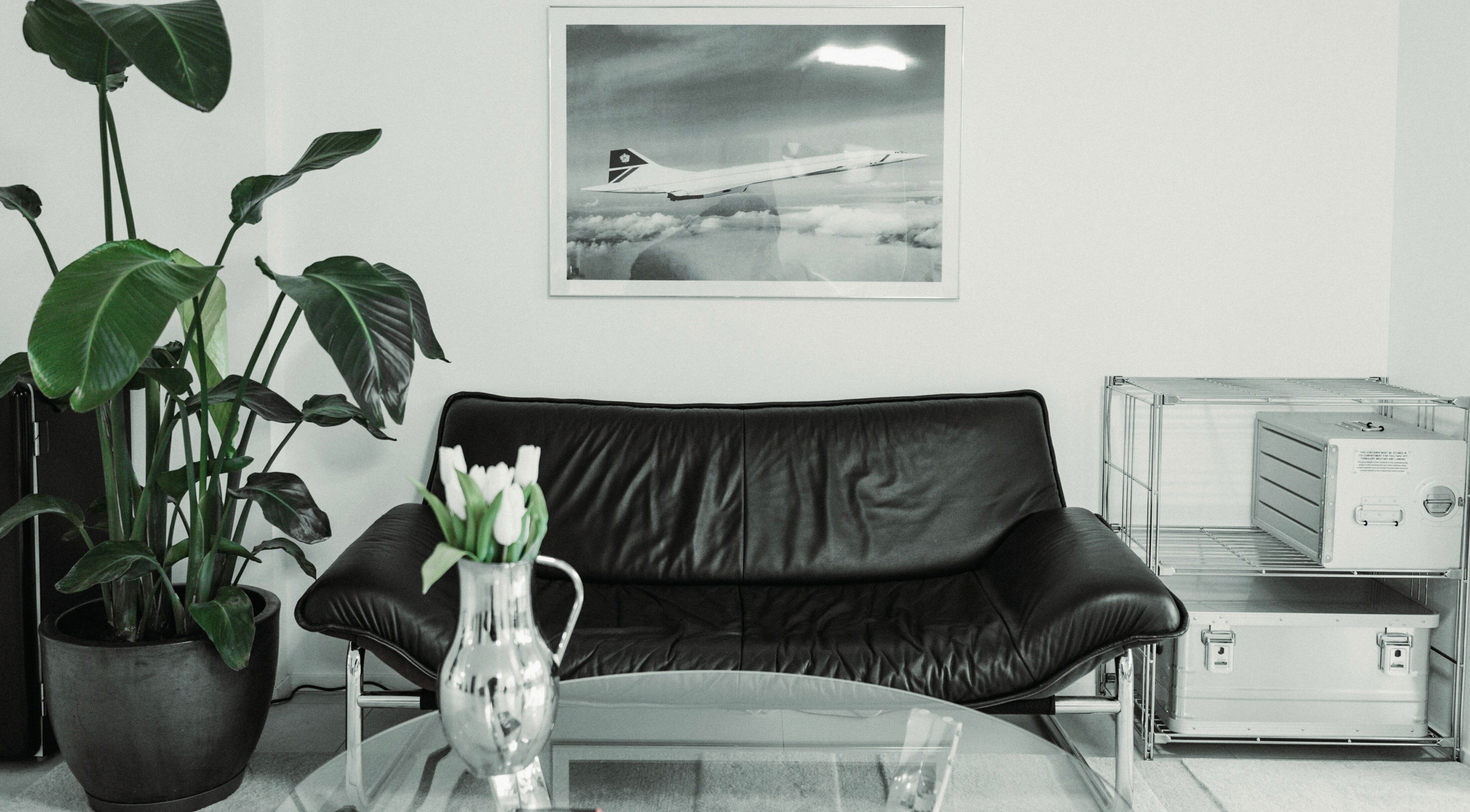 Elegant waiting area at CONCORDE, Zürich, Zürich, CH, featuring a black leather couch and green plants.