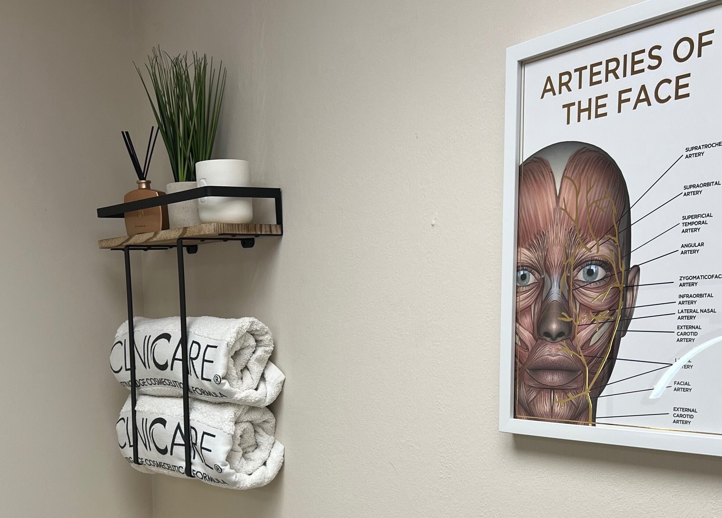 DermaLush Aesthetics therapy room in Normanton, England featuring face anatomy chart and elegant shelving.