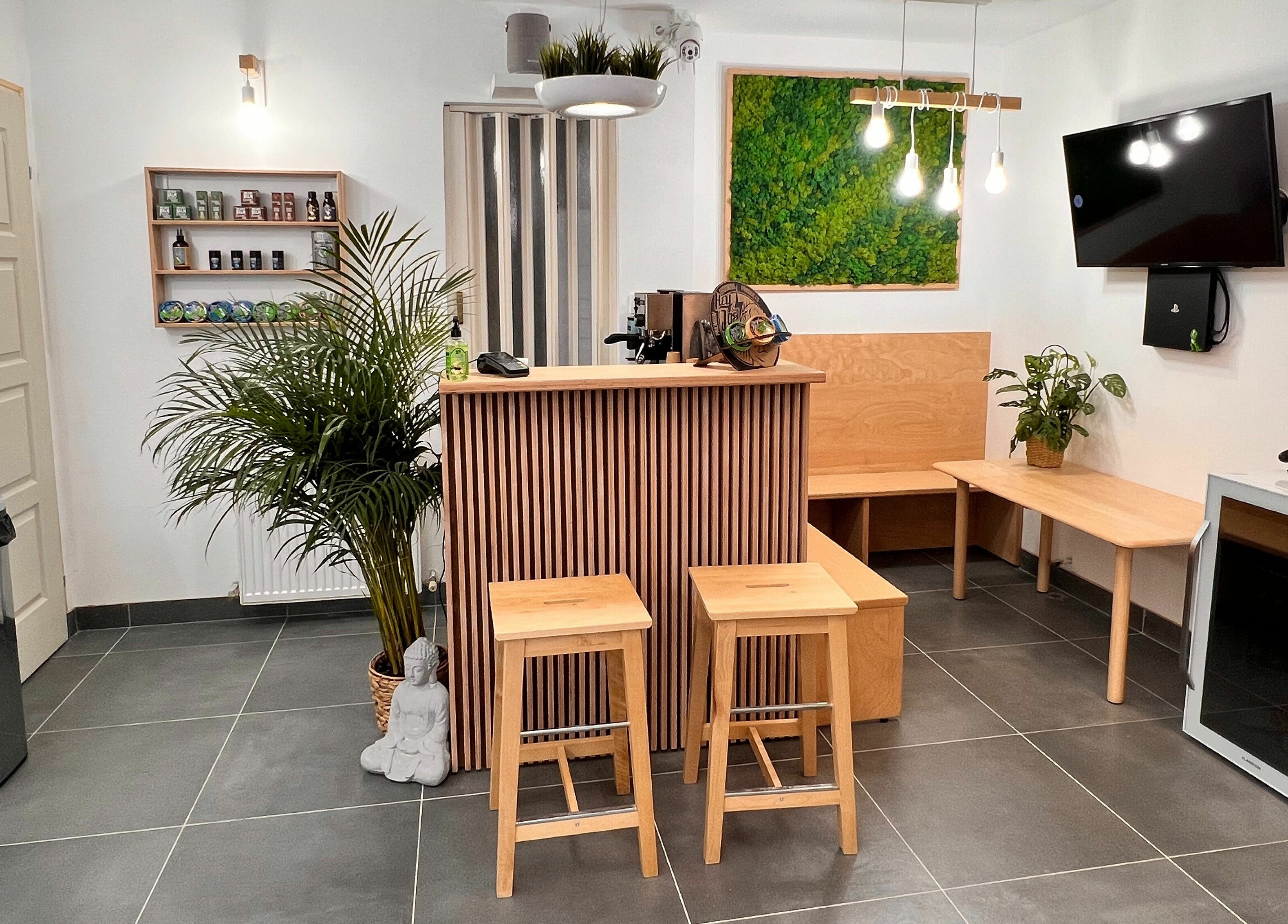 A Fantasy Salon and Barber modern belsőtere Budakeszin látványos zöld növényekkel és hangulatos világítással.