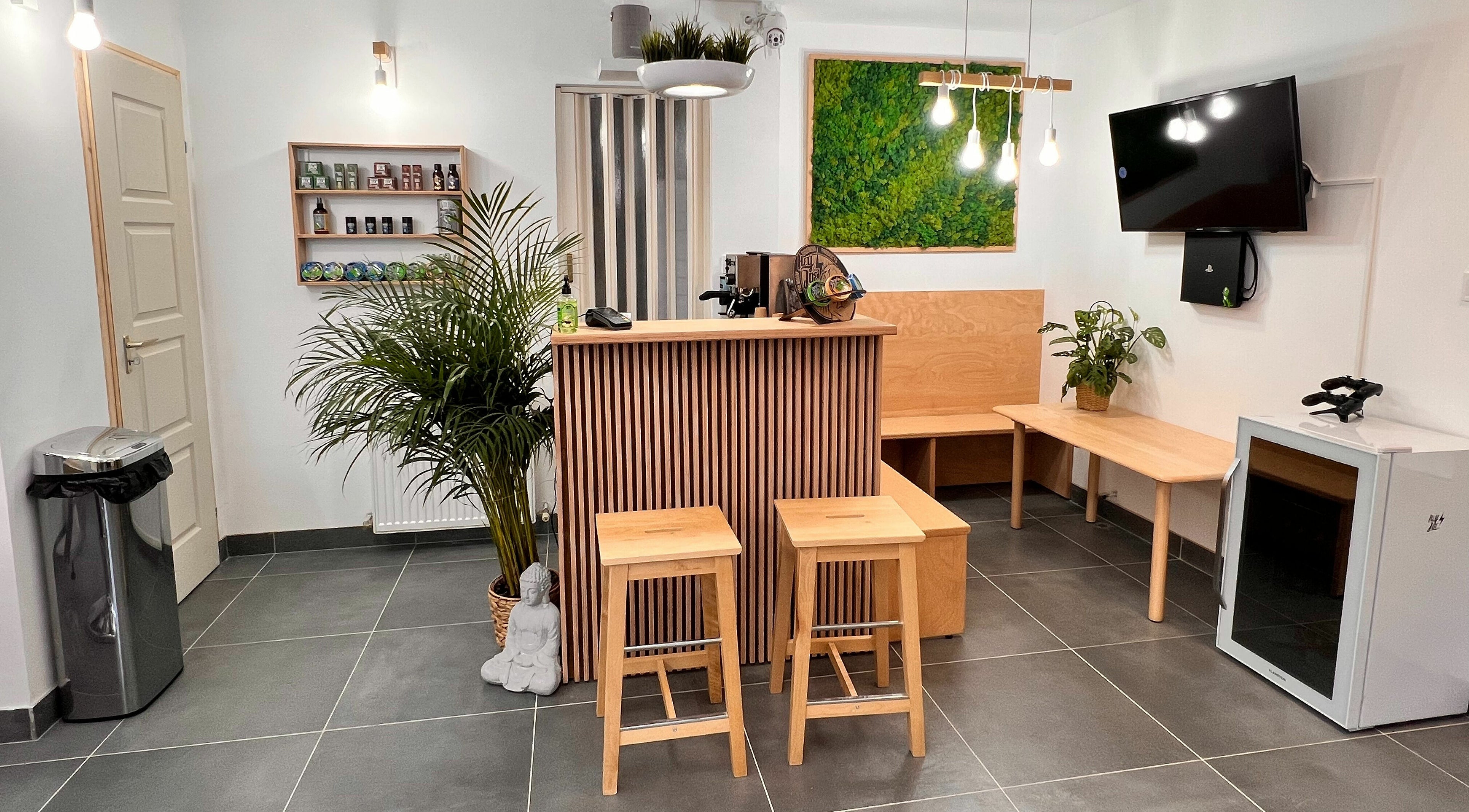 A Fantasy Salon and Barber modern belsőtere Budakeszin látványos zöld növényekkel és hangulatos világítással.