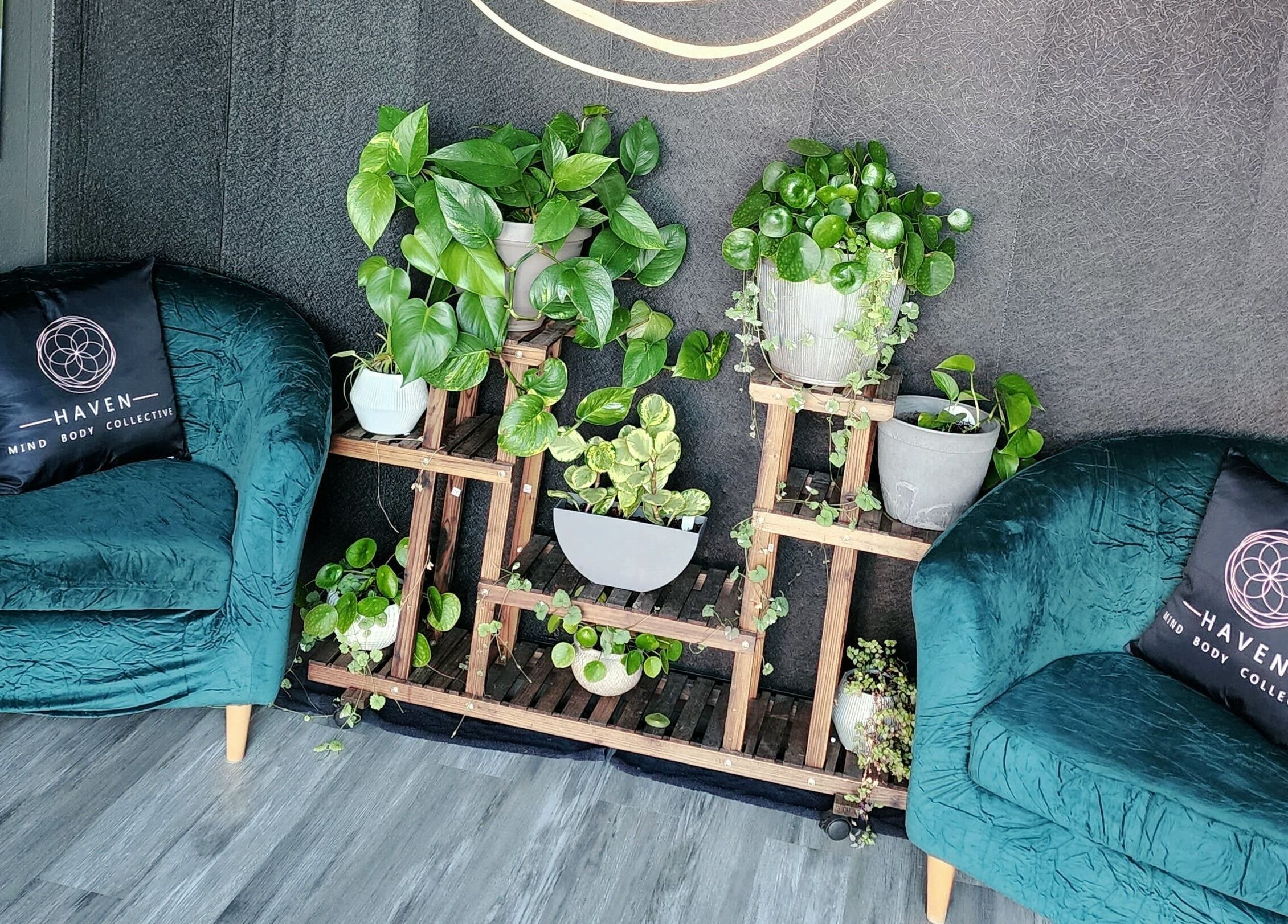 Chic Haven Mind Body Collective lounge with green chairs and lush plants in Longview, Washington, US.