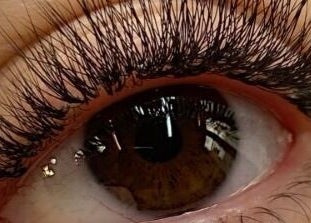 Closeup of voluminous eyelashes at Lashes by Shareen, Kettering, England, GB.
