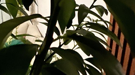 Dr.Musnik image 2