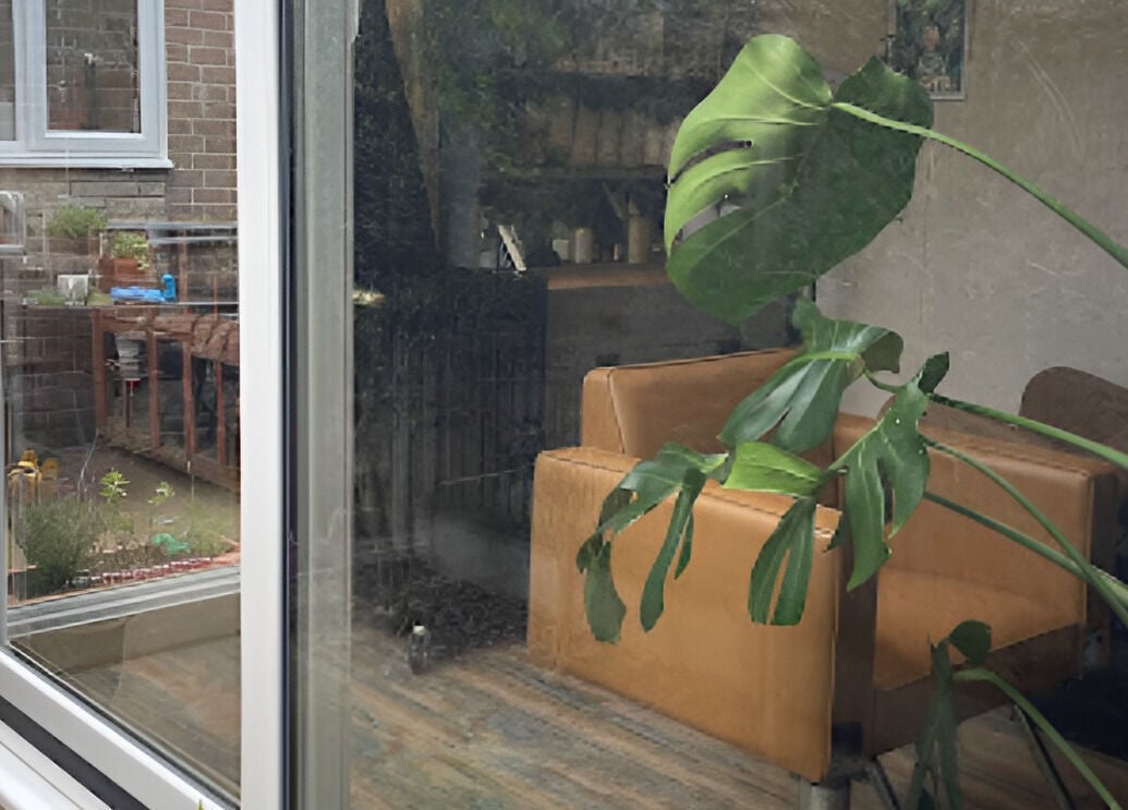 Relaxing corner view through glass at My Space se, Whitstable, England, GB with lush plant and couch.