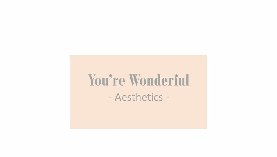 You're Wonderful Aesthetics billede 1